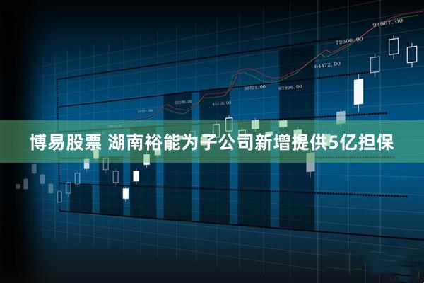 博易股票 湖南裕能为子公司新增提供5亿担保