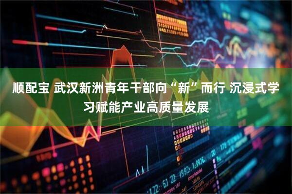 顺配宝 武汉新洲青年干部向“新”而行 沉浸式学习赋能产业高质量发展