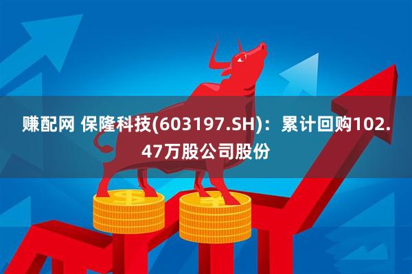 赚配网 保隆科技(603197.SH)：累计回购102.47万股公司股份