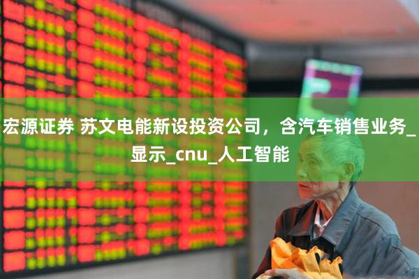 宏源证券 苏文电能新设投资公司，含汽车销售业务_显示_cnu_人工智能